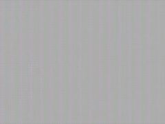 Assploitations 3 Scene-3