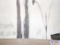 Sexo em Festa 1986 Brazilian Vintage Porn Movie Teaser
