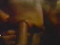 Stacked Blond Teen Fucked by the Repairman (1970s Vintage)